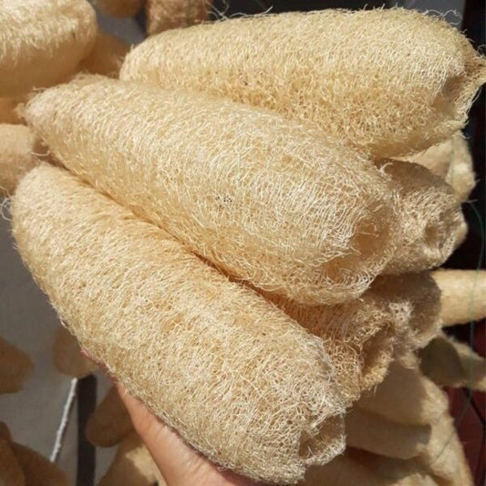 Organic Loofa
